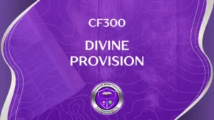 CF300 Divine Provision